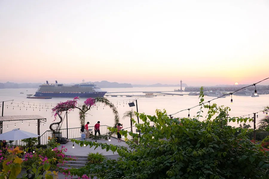 Cafe Đồi mặt trời