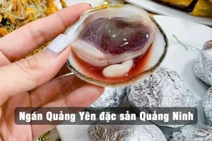 Ngán Quảng Yên đặc sản Quảng Ninh