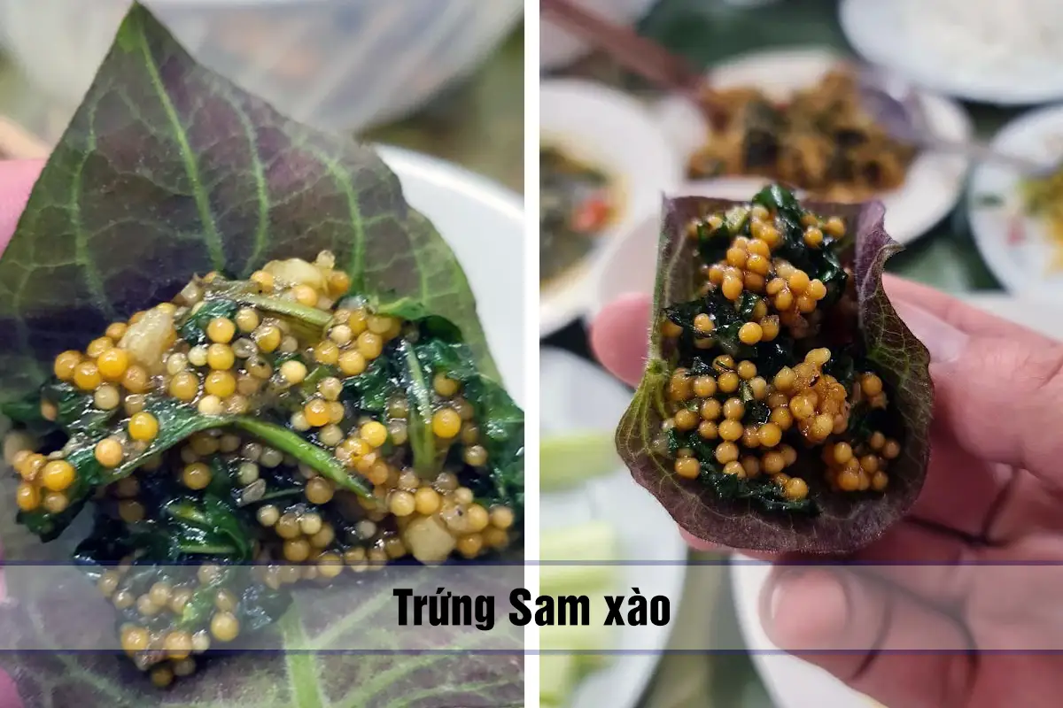 Sam Bà Tỵ - Trứng Sam xào