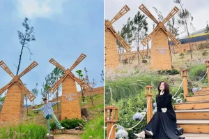 La Luna Coffee Hạ Long
