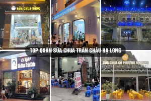 top quán sữa chua trân châu Hạ Long
