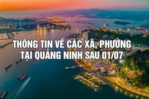 Các xã phường ở Quảng Ninh